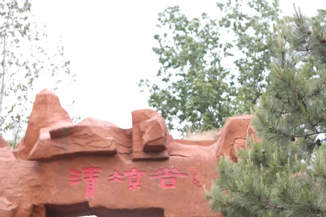 立足當“夏”，覓清涼 