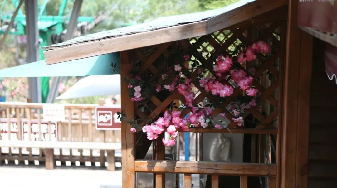 立足當“夏”，覓清涼 