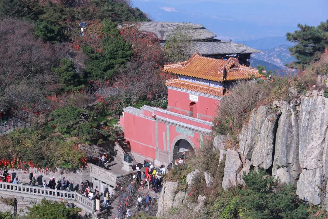 我們一起，頂峰相見 